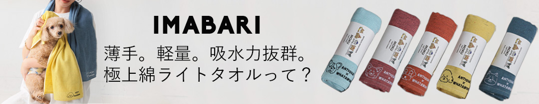 タオル特集