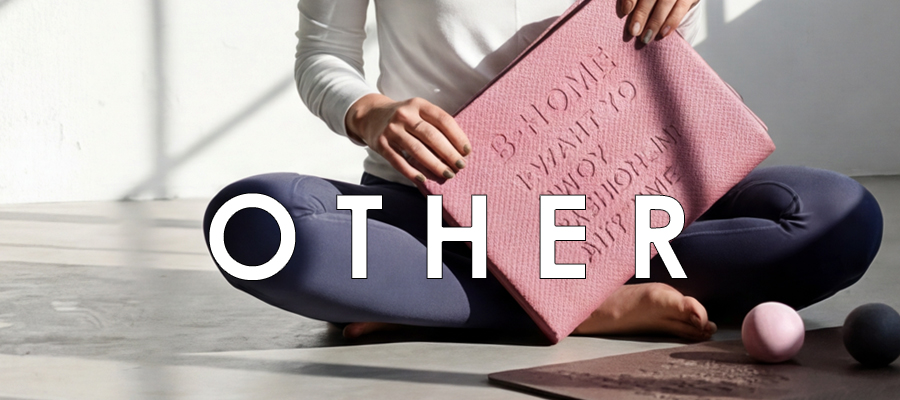 �V�tBIG�o�[�Q���I ���̑�