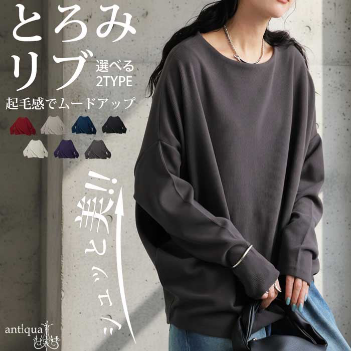 シュッと美 トップス レディース 起毛リブ 長袖 送料無料
